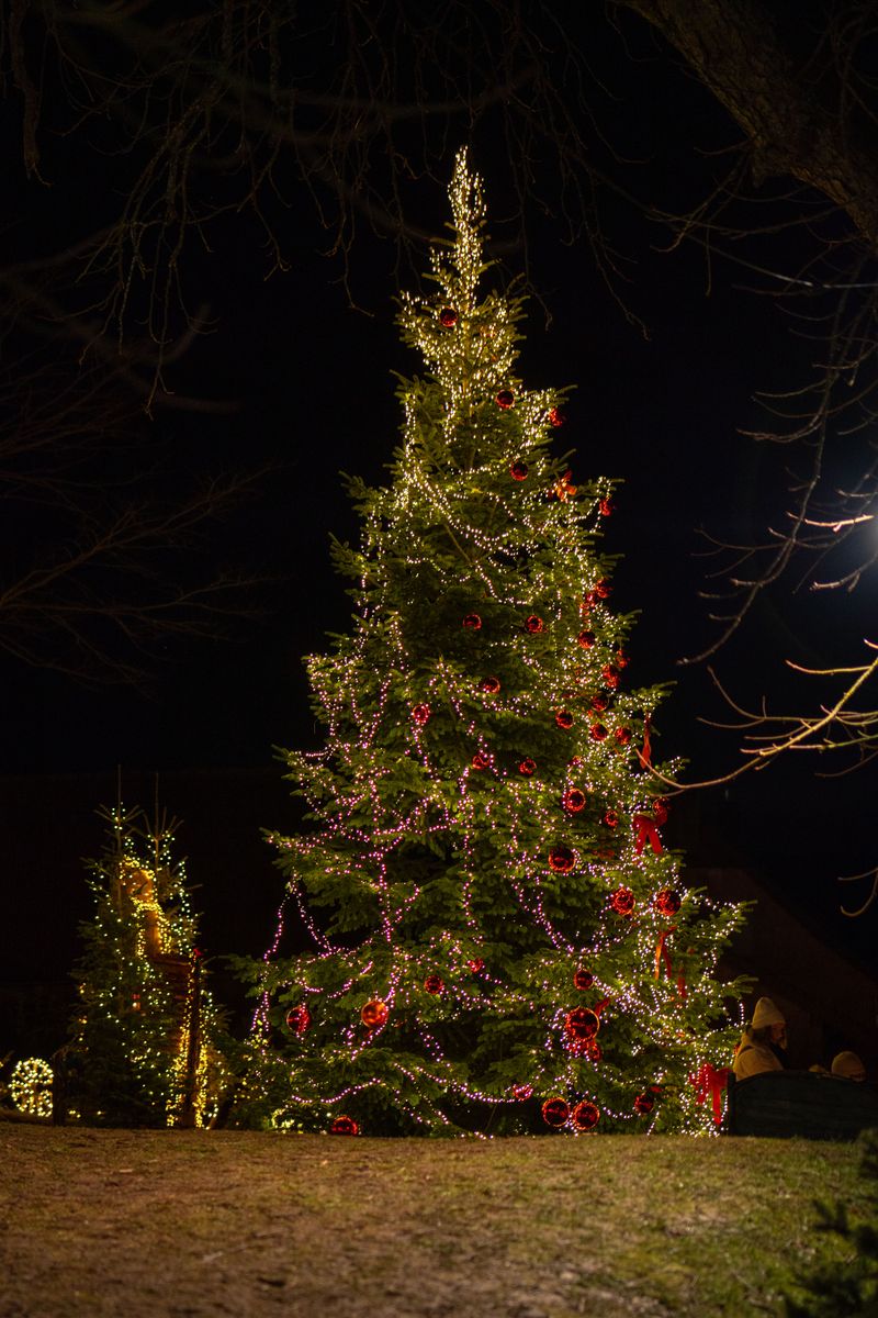 Four Festive Weekends Give Shoppers Multiple Chances To Catch The 2026 Market