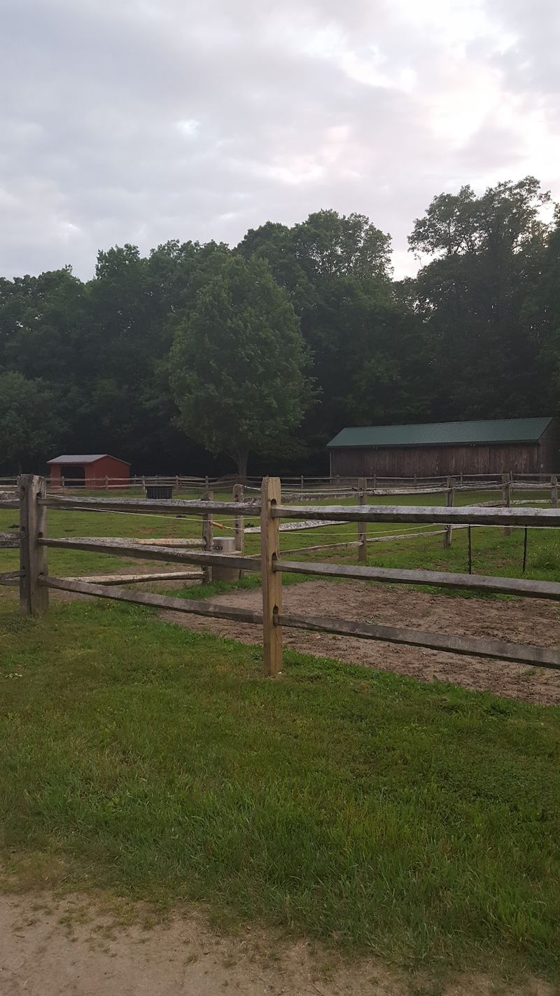 Quiet Moments With The Herd Can Be Just As Memorable