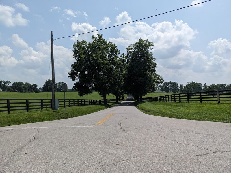 Kentucky Has A Breathtaking Tree Tunnel Road, And It Looks Straight Out Of A Movie - Decor Hint Little Crossroads Towns Add Charm Along The Way