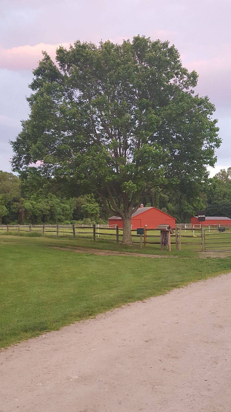 Old Lyme’s Countryside Feels Far Removed From Busy Roads