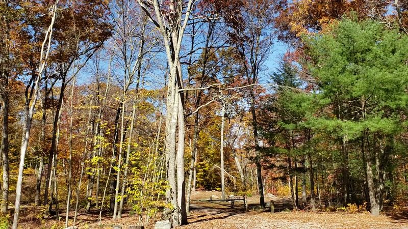 Pachaug State Forest, Voluntown