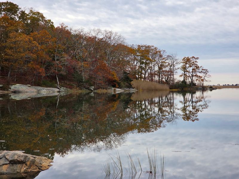9 Connecticut Places Where Tick Populations Are Highest This Fall - Decor Hint Elizabeth B. Karter Watch Rock Preserve