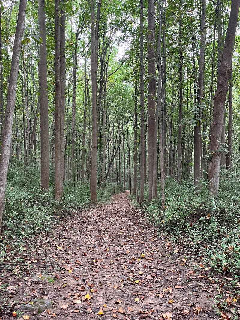 Nearly 12 Miles Of Trails With Real Personality