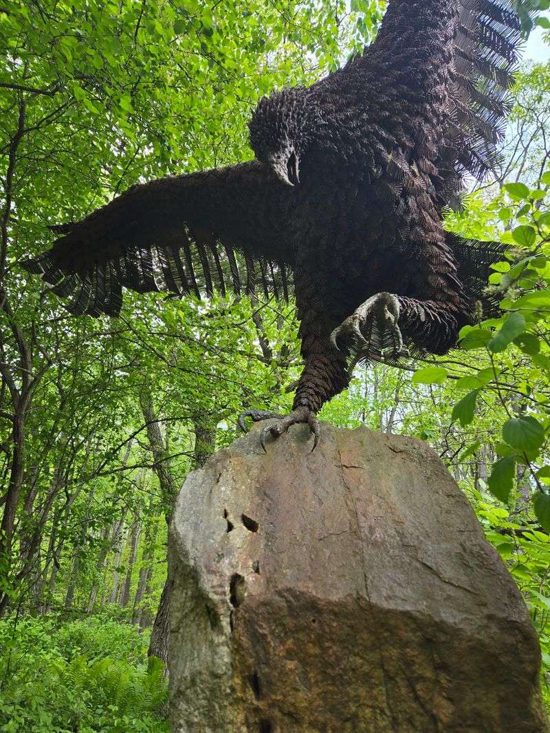 Every October, Thousands Of Hawks Stream Past This Pennsylvania Mountaintop Lookout - Decor Hint Kettles, Eagles, And A Sky That Keeps Changing