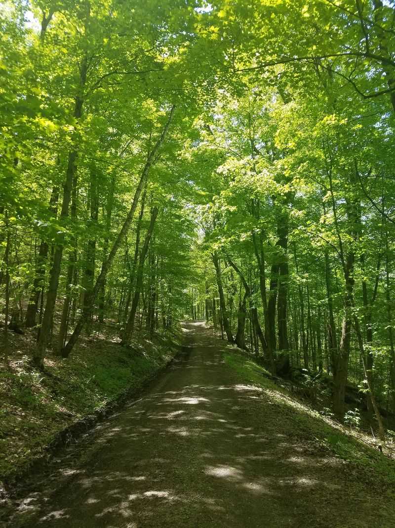 Merck Forest & Farmland Center, Rupert