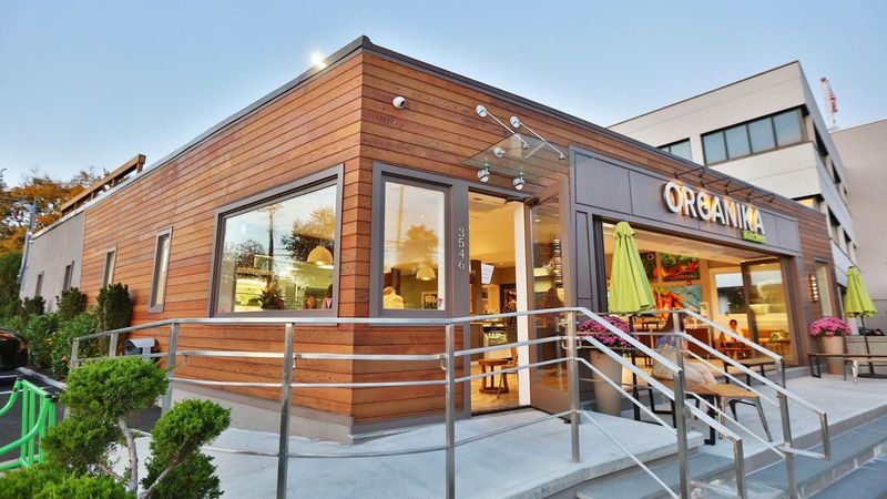 11 Top-Rated Vegan Restaurants In Connecticut Worth Adding To Your Food List - Decor Hint Organika Kitchen, Southport