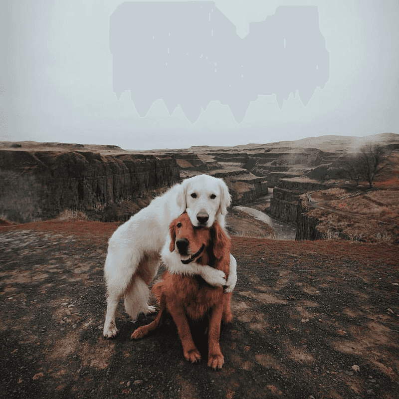 Three Viewpoints, Zero Need For Climbing Gear