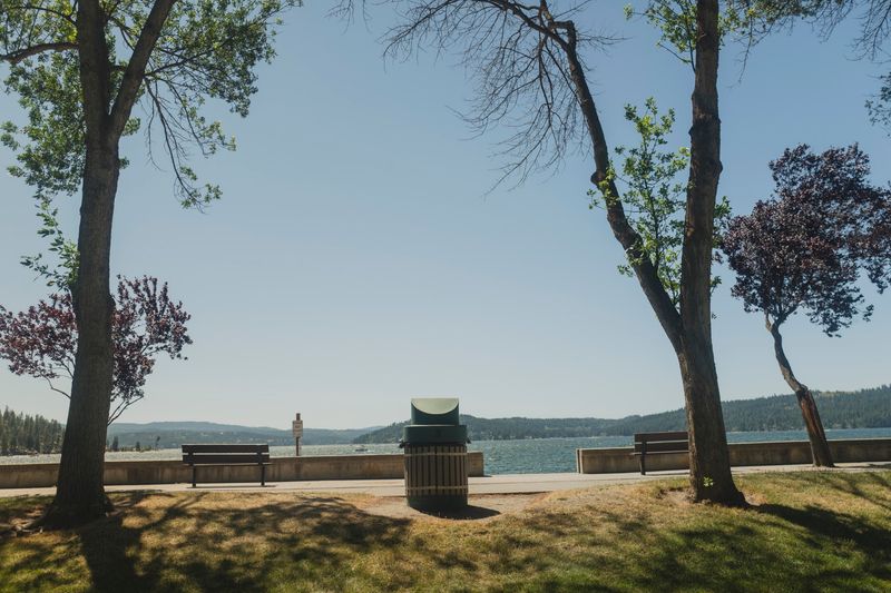 Parking, Restrooms, And Other Need-To-Knows