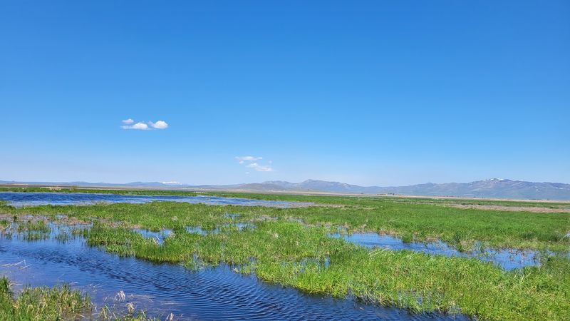 Idaho Is Home To An Ice Age Floods Trail Where Giant Ripple Marks Span Whole Hillsides - Decor Hint Giant Flood Ripples Up North, A Wilder Water Story Down South