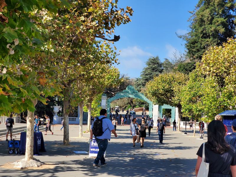 Research Opportunities Begin During Undergraduate Studies