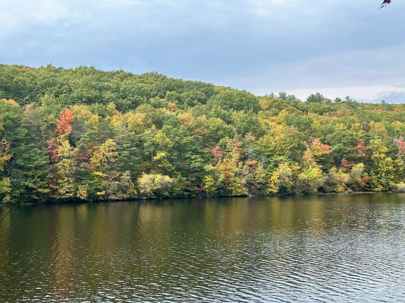 Lake Wintergreen Adds A Peaceful Waterside Stretch