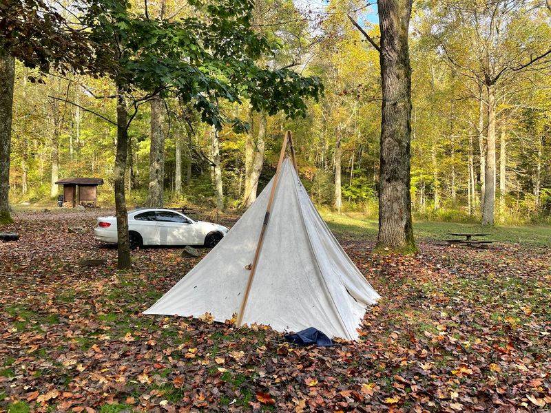 7 First-Come, First-Served Georgia Campgrounds Where You Can Pitch A Tent Without Booking Ahead - Decor Hint Jacks River Fields Campground