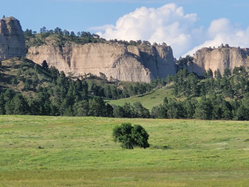 Buffalo Stew Under The Buttes Beats Any Drive-Thru Supper