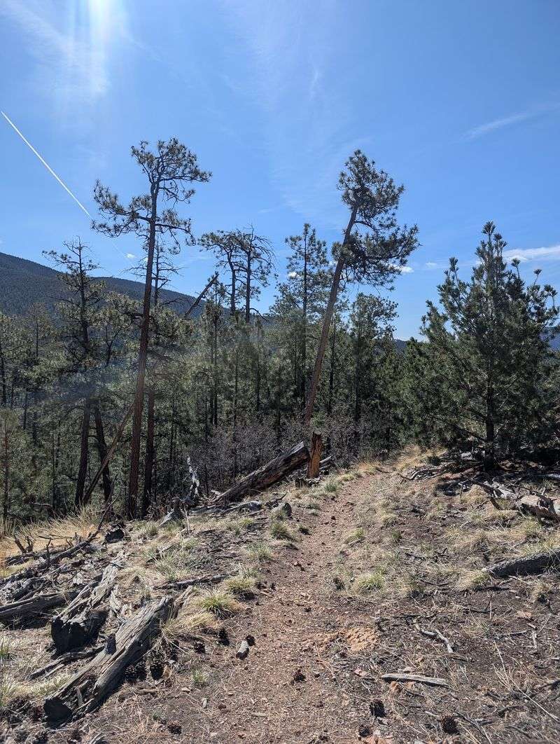 East Circle Trail, Santa Fe
