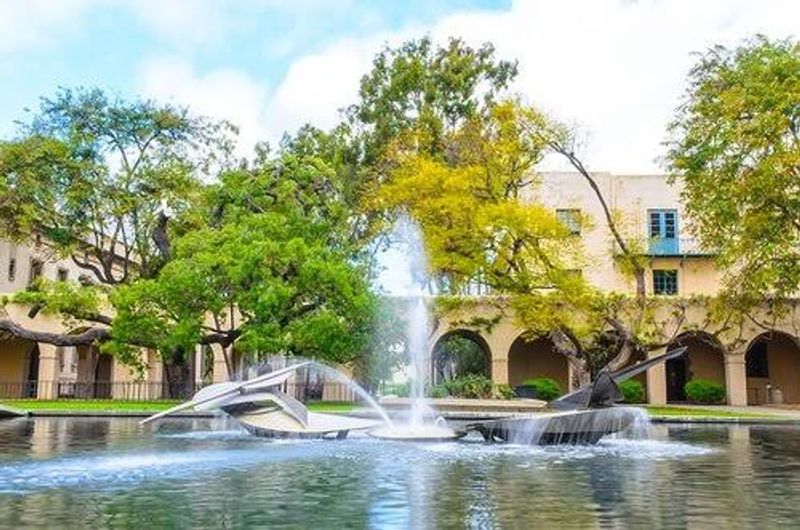 Stroll Past Turtles And Jacarandas On A Campus Built For Wandering