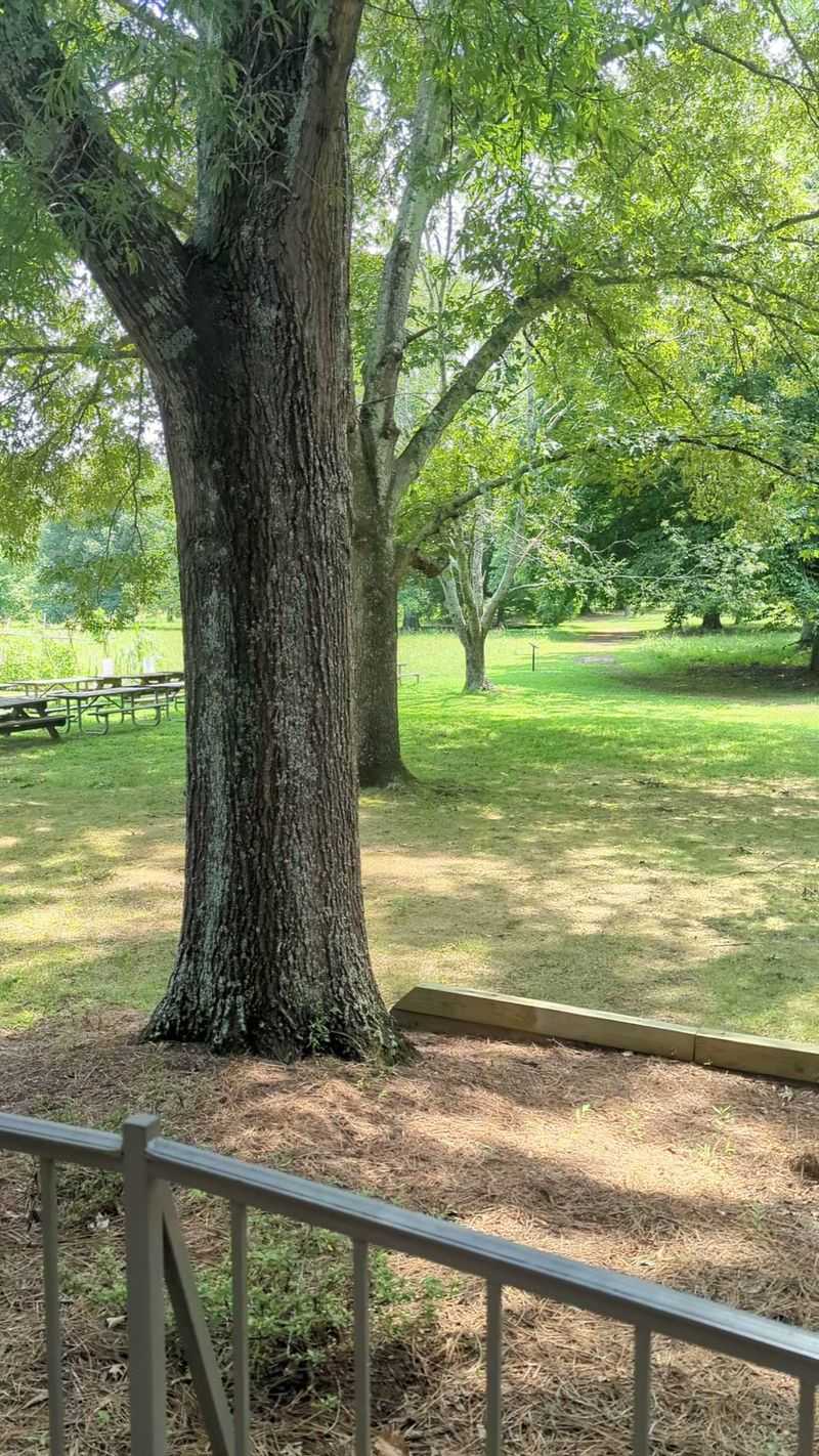 Nature Keeps Its Own Schedule Out Here