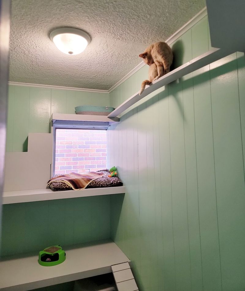 FUR Animal Rescue