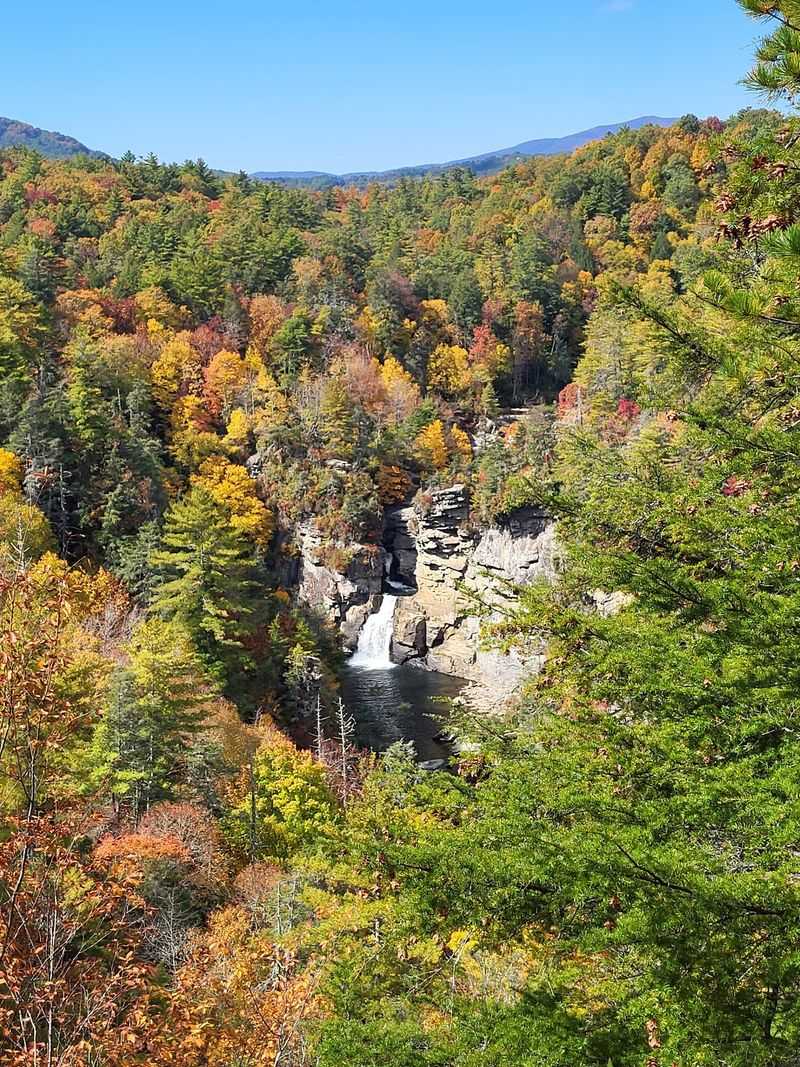 This North Carolina Waterfall Is Surrounded By Brilliant Fall Colors Right Now, And The Views Are Worth The Hike - Decor Hint A River Of Cliffs With A Generous Backstory
