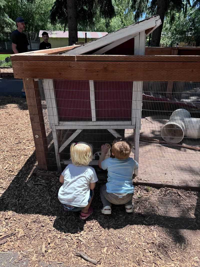 This Idaho Zoo Lets You See The State's Wildest Animals Up Close - Decor Hint Built for Little Explorers