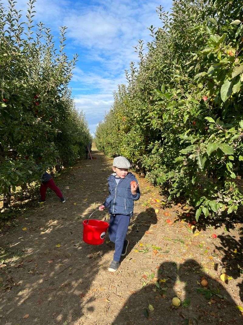 Mountain View Organic Orchard In Bonners Ferry