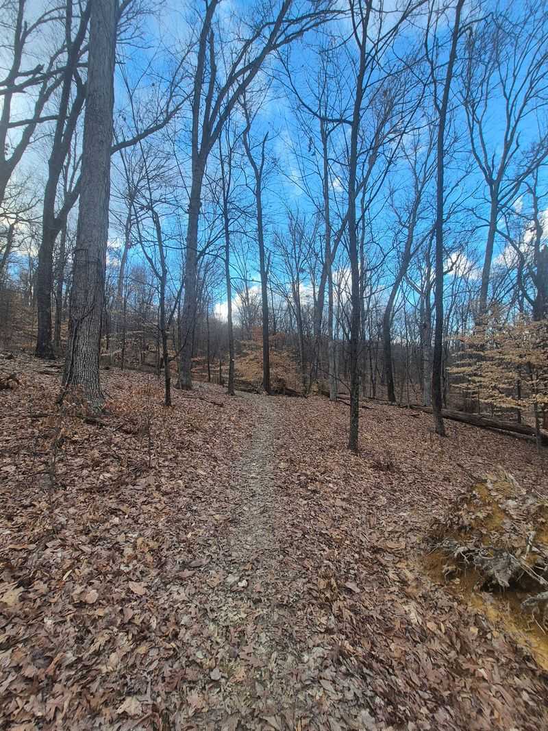 Kentucky’s October Trail Of The Month Is An Easy 3.3-Mile Loop Through ...