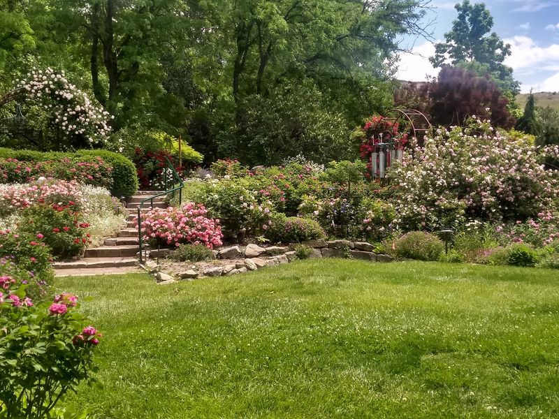 Roses, Lawns, And A Little English Charm