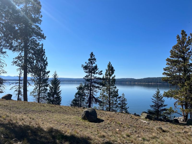 Four Campground Loops Under The Pines