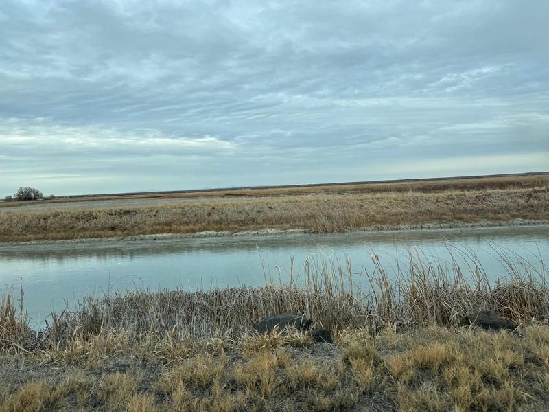 Market Lake Wildlife Management Area - Idaho Fish and Game, Roberts, ID