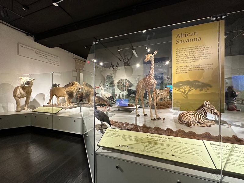 Buffalo Museum Of Science