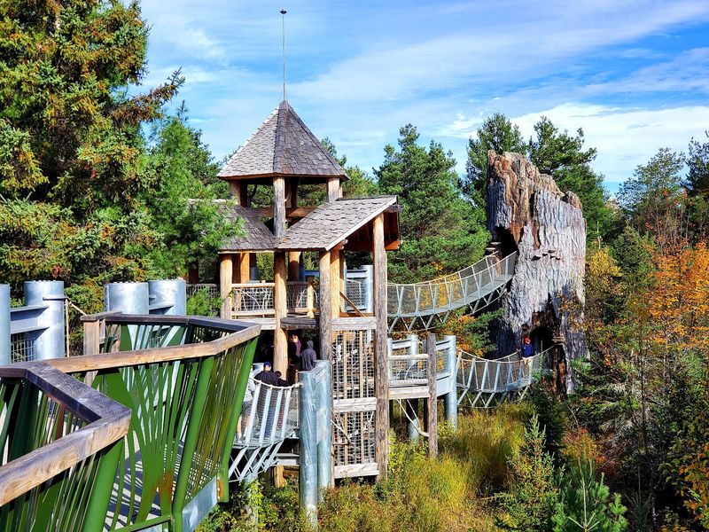 New York Has 10 Reasons Tourism Is Set To Surge - Decor Hint The Wild Center And Wild Walk