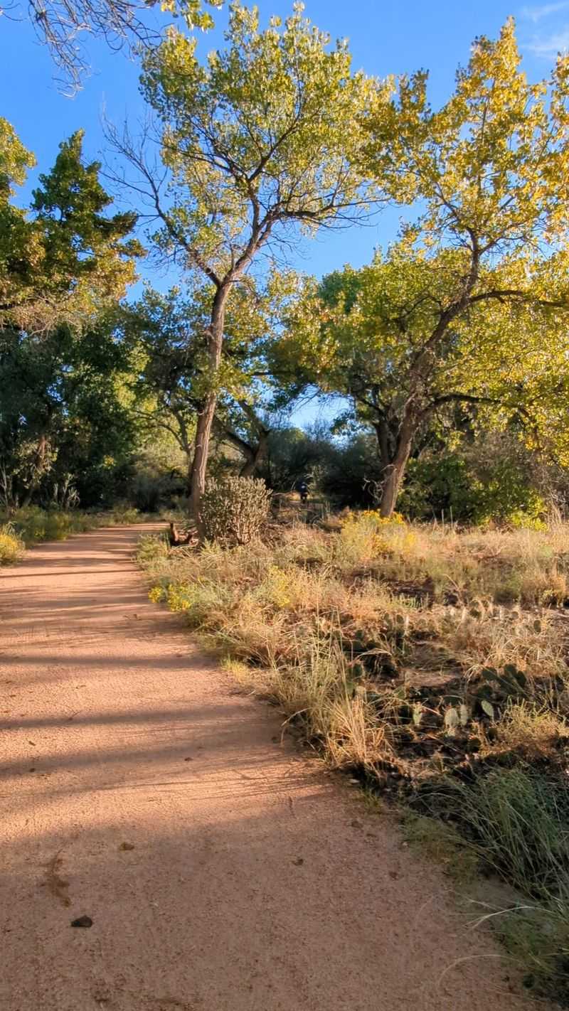 Aldo Leopold Forest Trail, Albuquerque