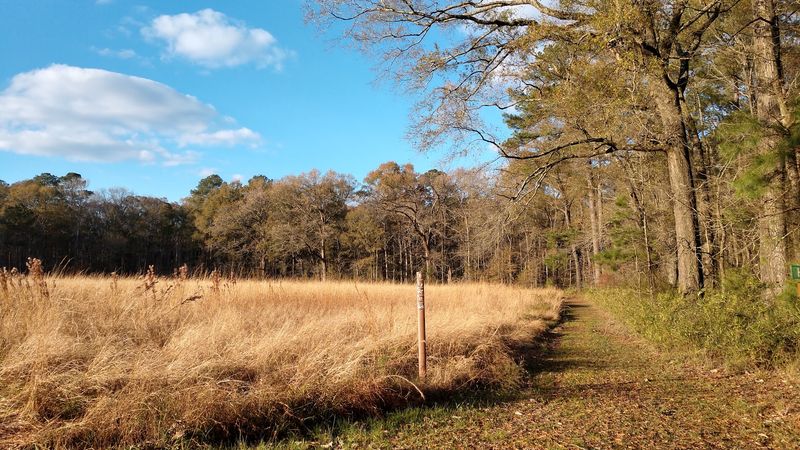 Nearly 25 Miles Of Trails Are Waiting In The Woods