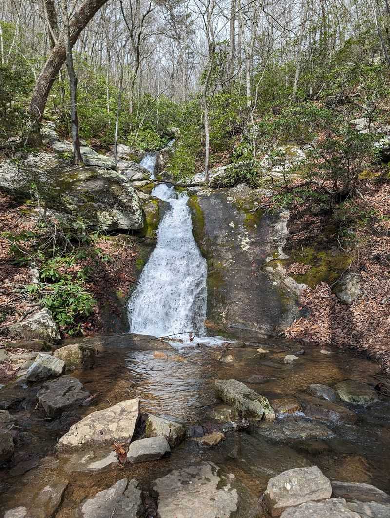 A Historic State Park Sits Just Up The Road
