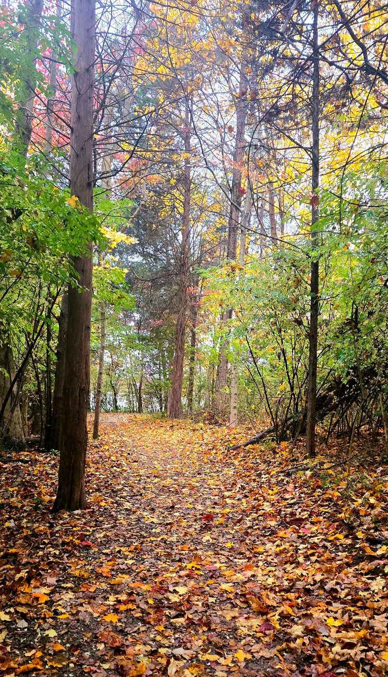 Kentucky's First Urban Trail Town Earns Its Badge