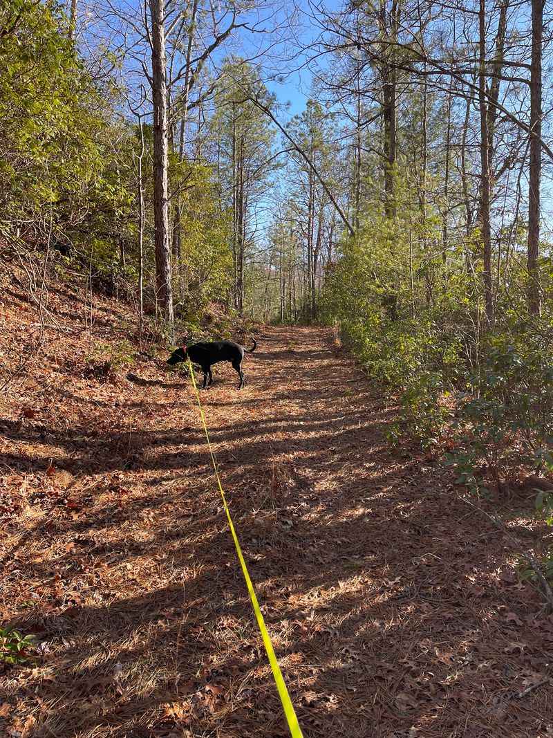 A Legendary Trail Runs Close By