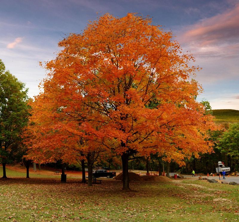 Gentle Sections Suit A Relaxed Fall Walk