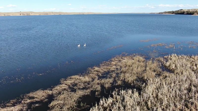 Before You Drive Out Know That Nebraska's Sandhills Hold A Lake Where Bison Wade At Dusk - Decor Hint Fishing Lakes On The Comeback Trail