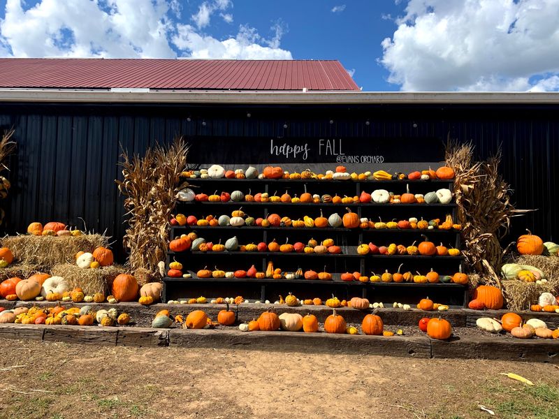 Evans Orchard And Cider Mill