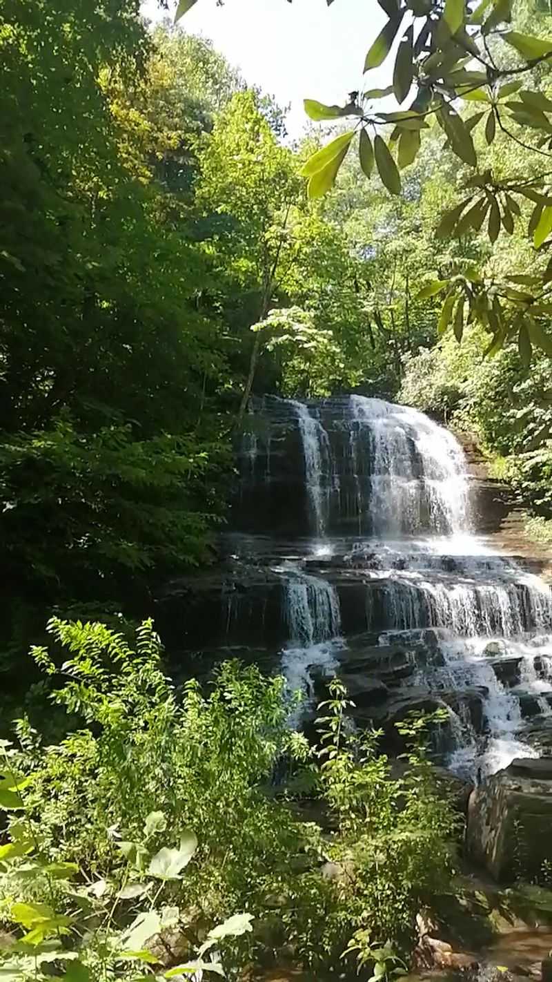 Follow A Forest Trail To A Waterfall That Reopened In 2026