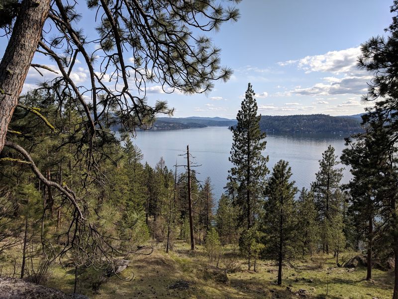 Tubbs Hill In Coeur D'alene Offers Free Lakeside Trails For Family Walks - Decor Hint Parking, Trailheads, And A Few Simple House Rules