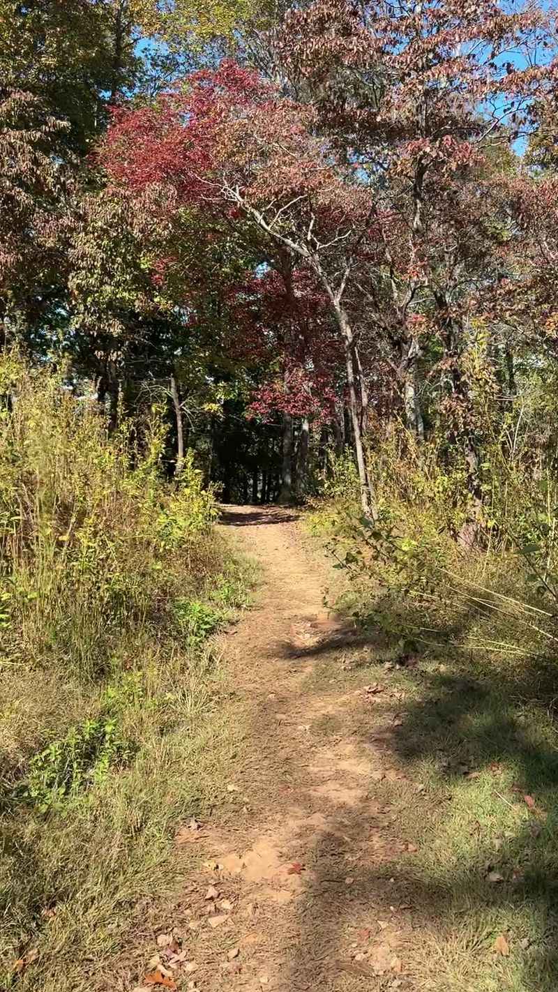 Sugarloaf Mountain Trail, Albemarle