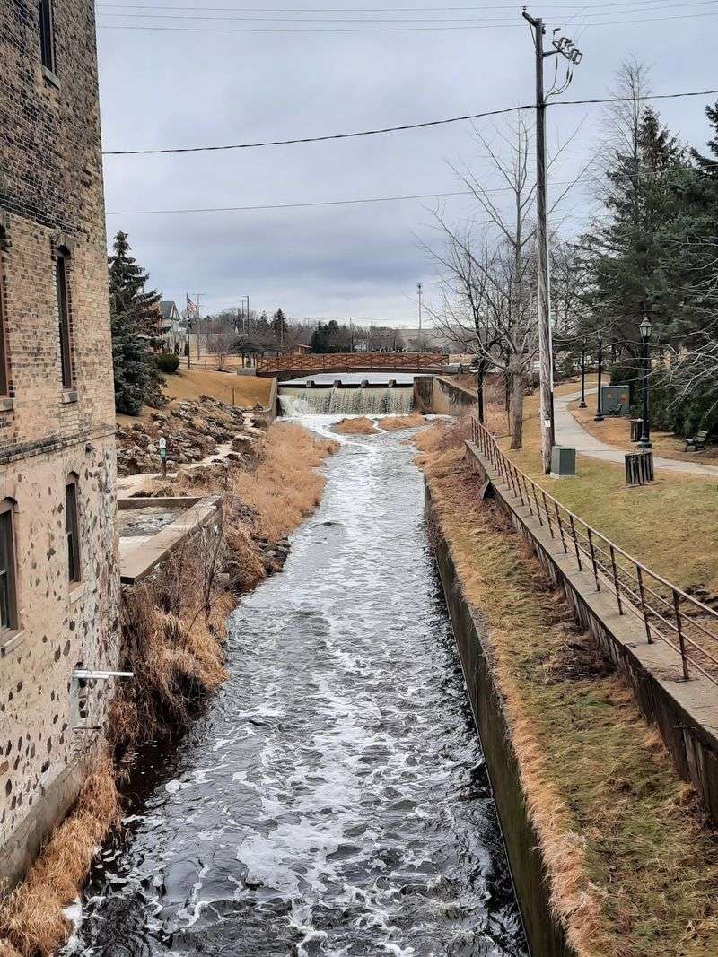 A River Town With Big Roots
