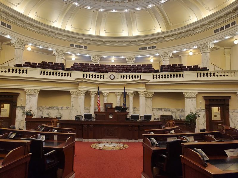 Chambers, Guides, And Galleries