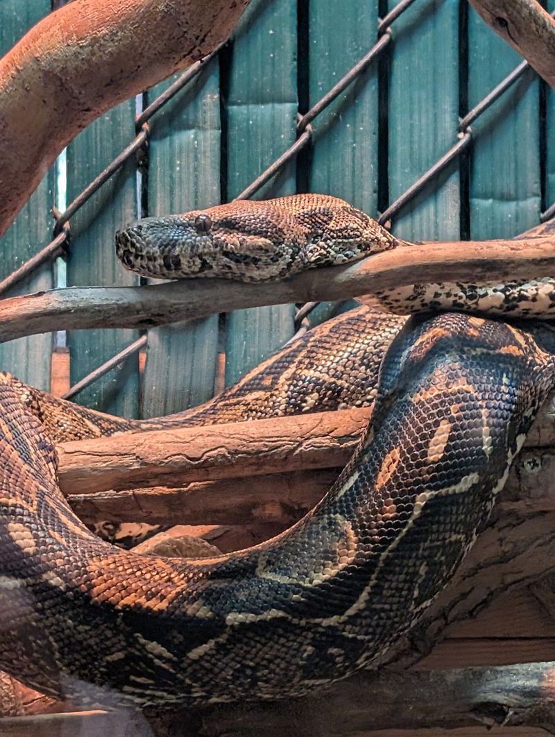 Hundreds Of Reptiles From Around The World Live Inside This Small Idaho Animal Center - Decor Hint Birthday Parties With A Snake For The Group Photo