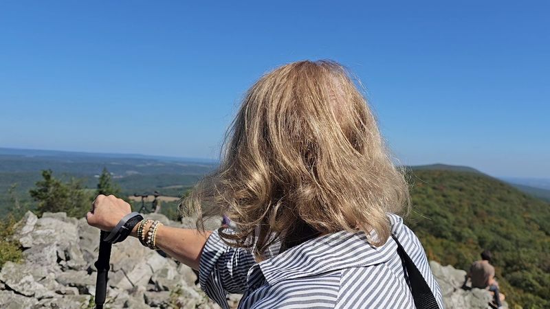 Every October, Thousands Of Hawks Stream Past This Pennsylvania Mountaintop Lookout - Decor Hint Naturalists On The Rocks Help You Name What Flies By