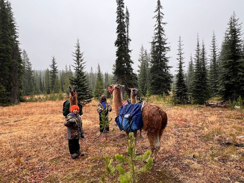 Little Hikers Holding The Lead