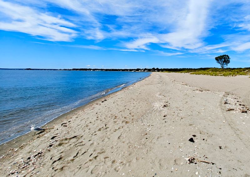 Hammonasset Beach State Park, Madison