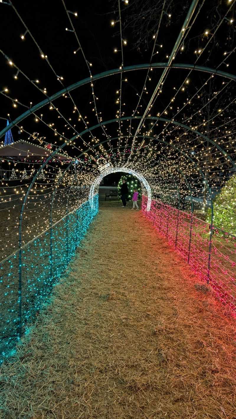 Skip The Car Line And Stroll The Show On Foot
