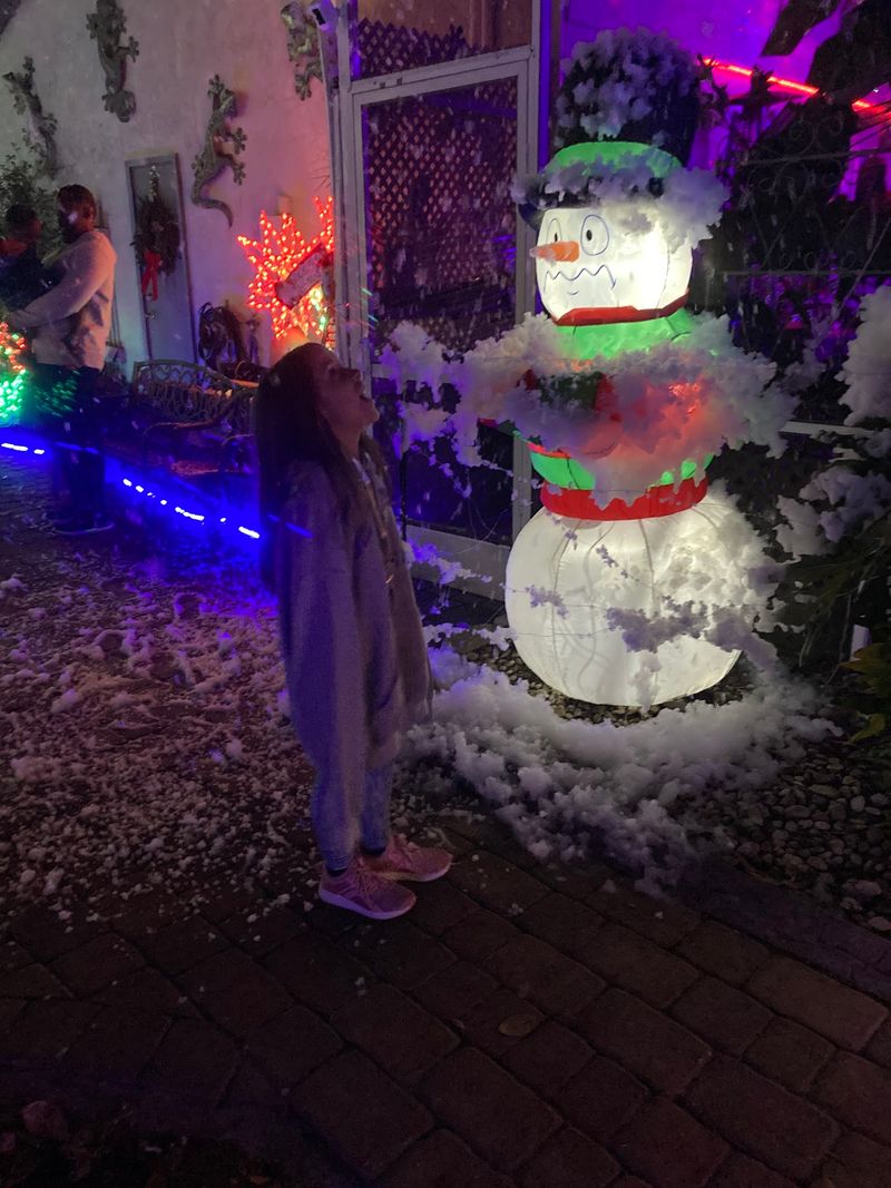 Snow Falls In Florida, Sort Of