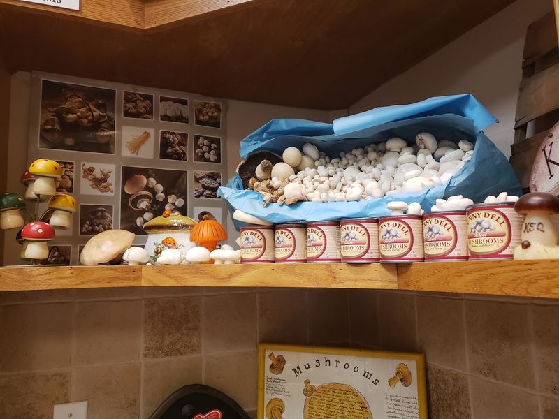Morels And Chanterelles Show Up When The Season Says So